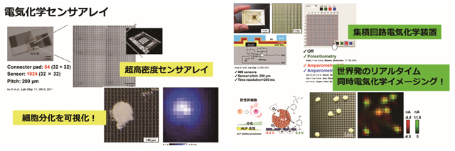 電気化学イメージングデバイスの開発と化学センシングへの応用