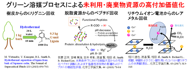 グリーン溶媒プロセスによる未利用・廃棄物資源の高付加価値化